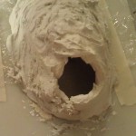 2012-06-12 14.37.11
