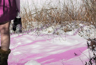Pink World