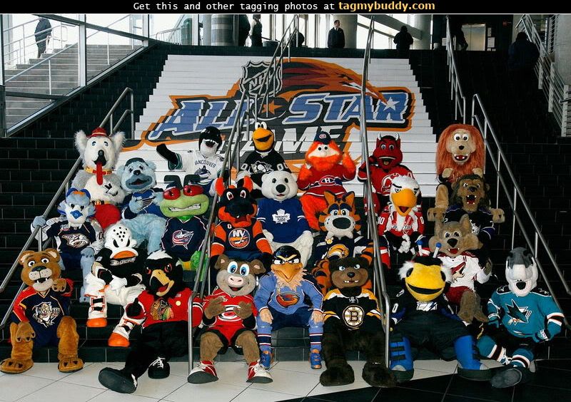 NHL Mascots  Looking At Every Ice Hockey Mascot
