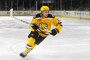 Seth Griffith (Photo: Providence Bruins)