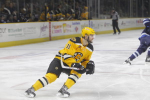 Tyler Randell (Photo: Providence Bruins)
