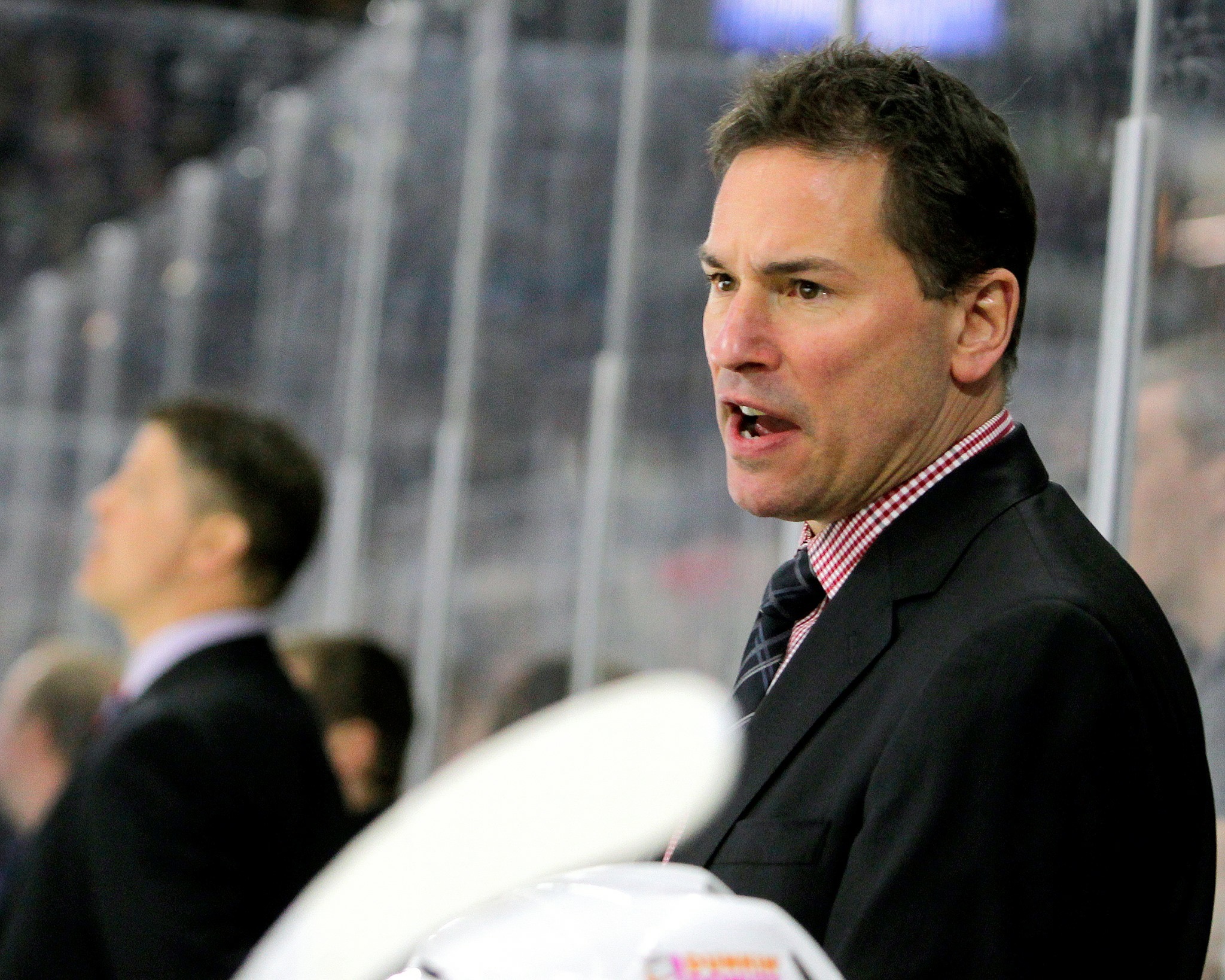 Bruins Release Head Coach Cassidy | The Pink Puck